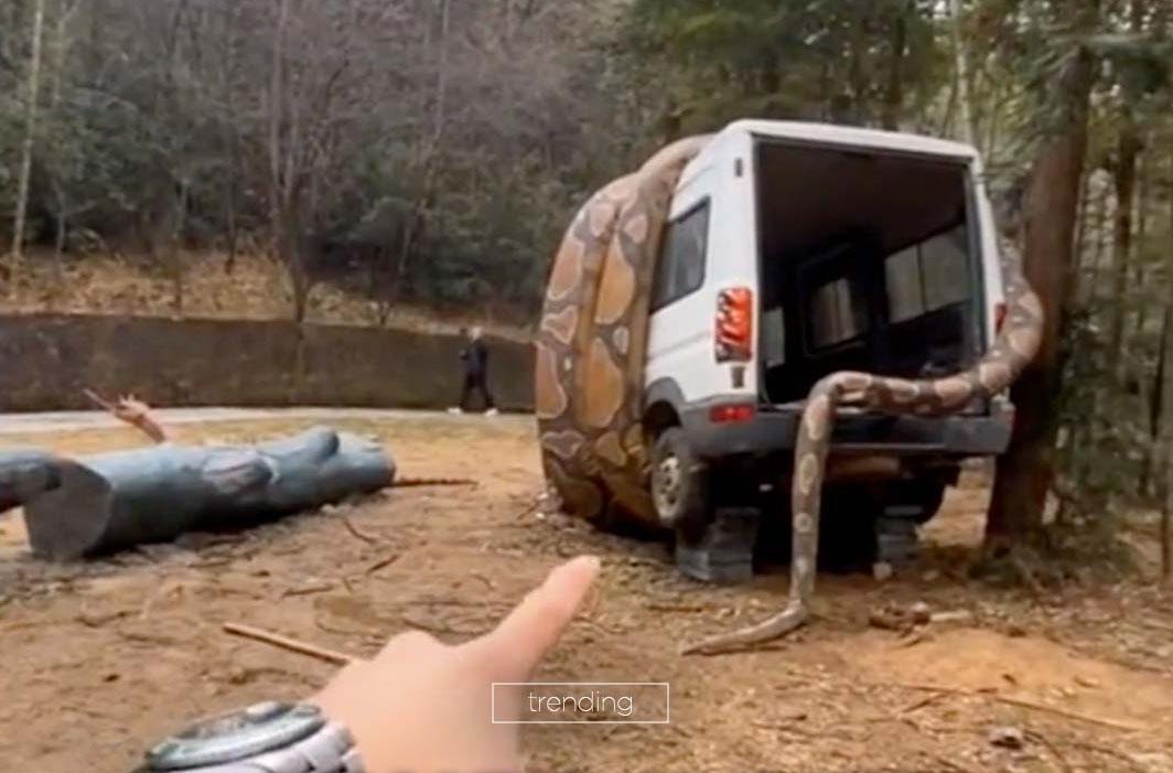 It’s Only A Viral Sensation – Unusual Horror